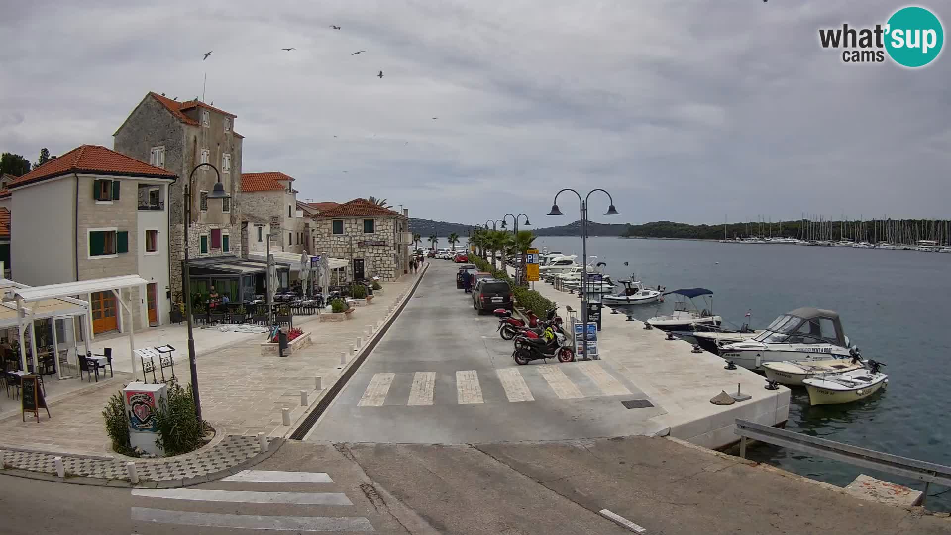 Isla Rogoznica camera en vivo Croacia