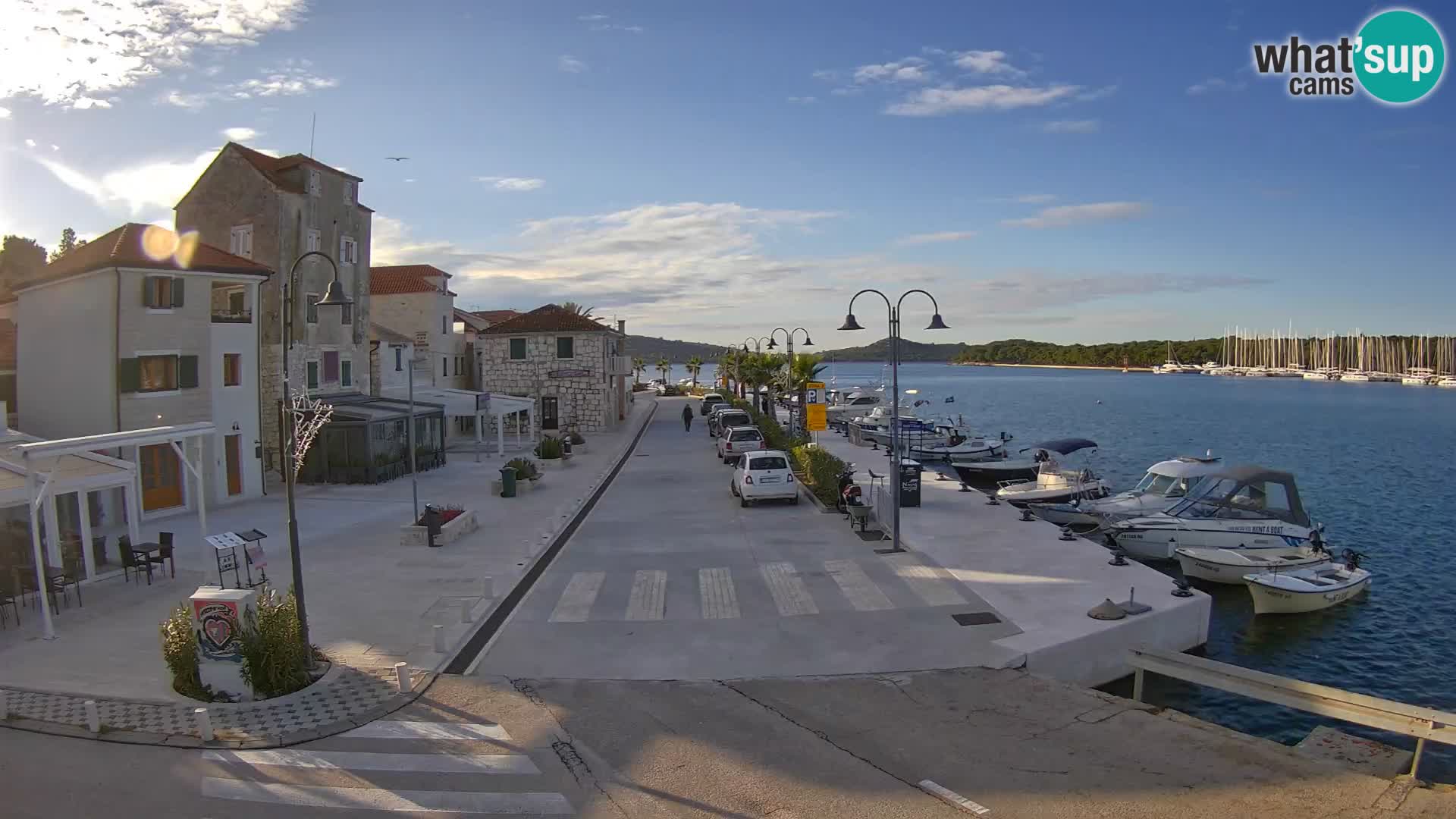 Isola di Rogoznica live cam Croazia