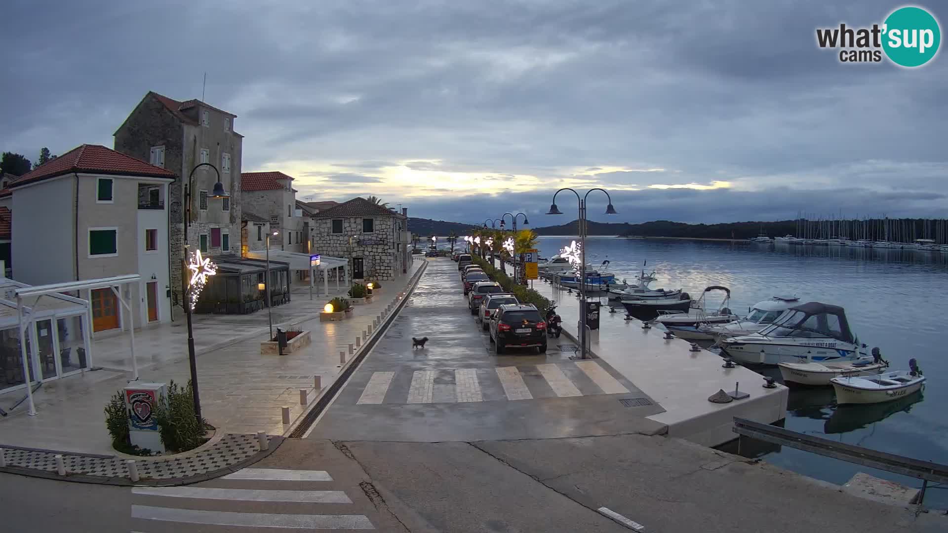 Isola di Rogoznica live cam Croazia