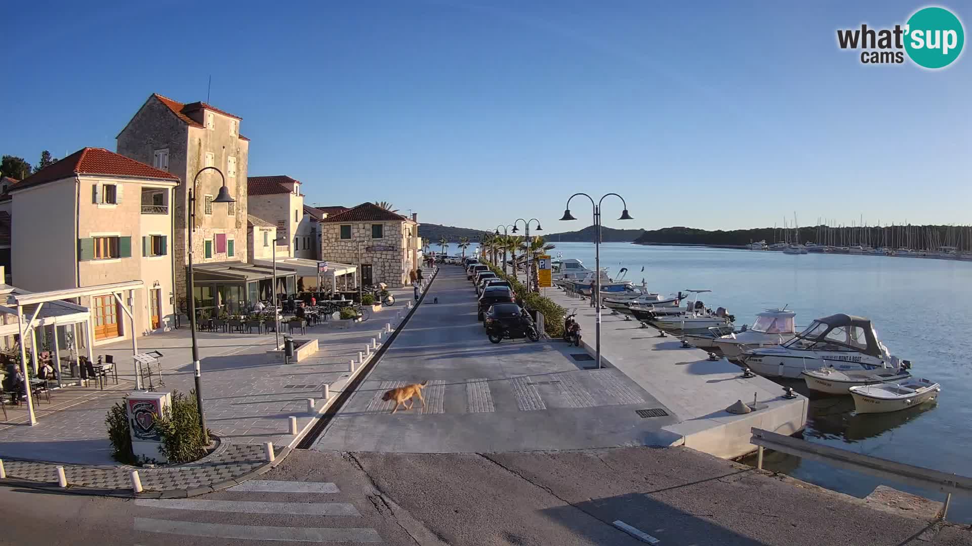 Isola di Rogoznica live cam Croazia