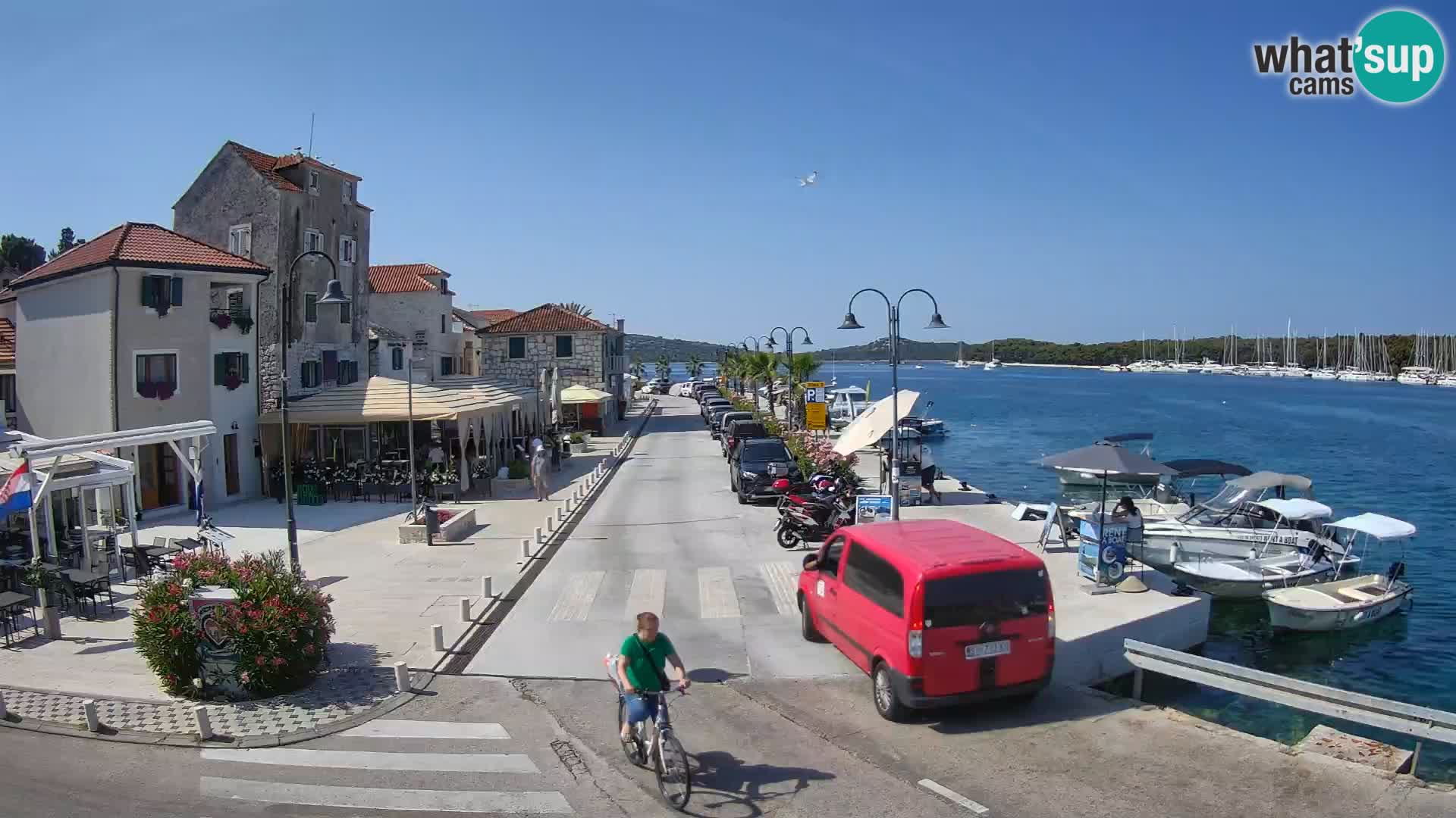 Isola di Rogoznica live cam Croazia
