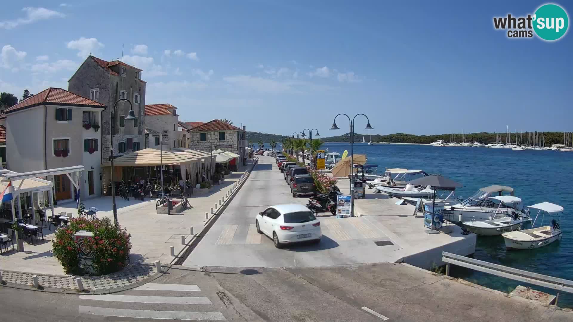 Isola di Rogoznica live cam Croazia