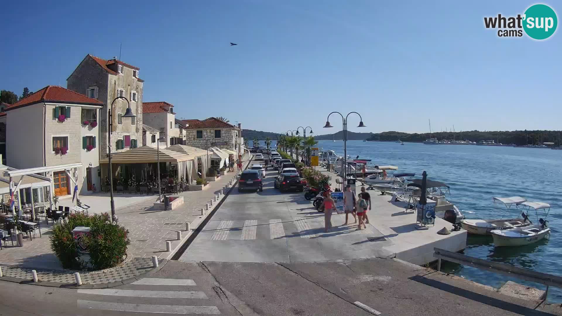 Isola di Rogoznica live cam Croazia