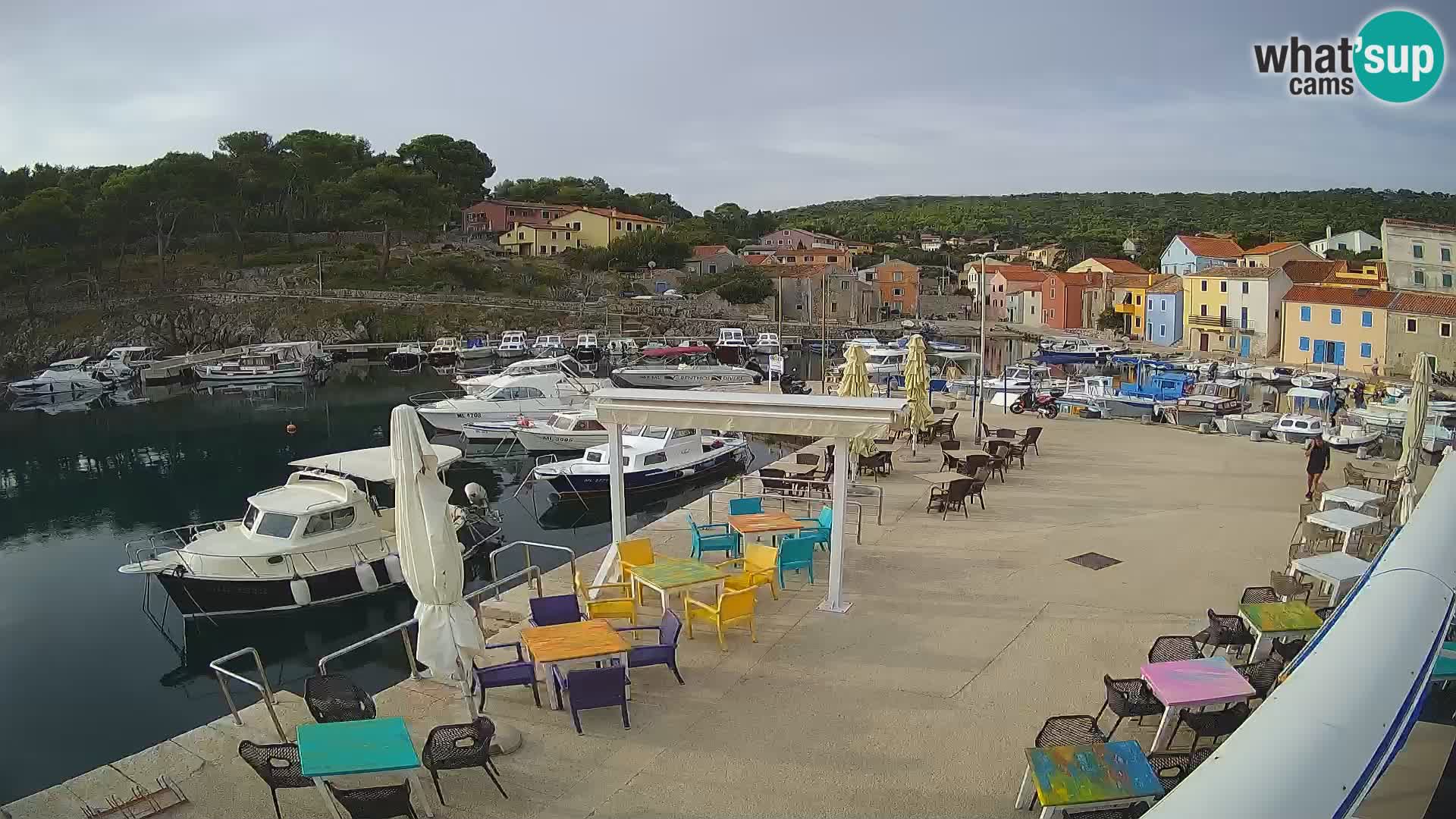 Livecam Rovenska –  Veli Lošinj