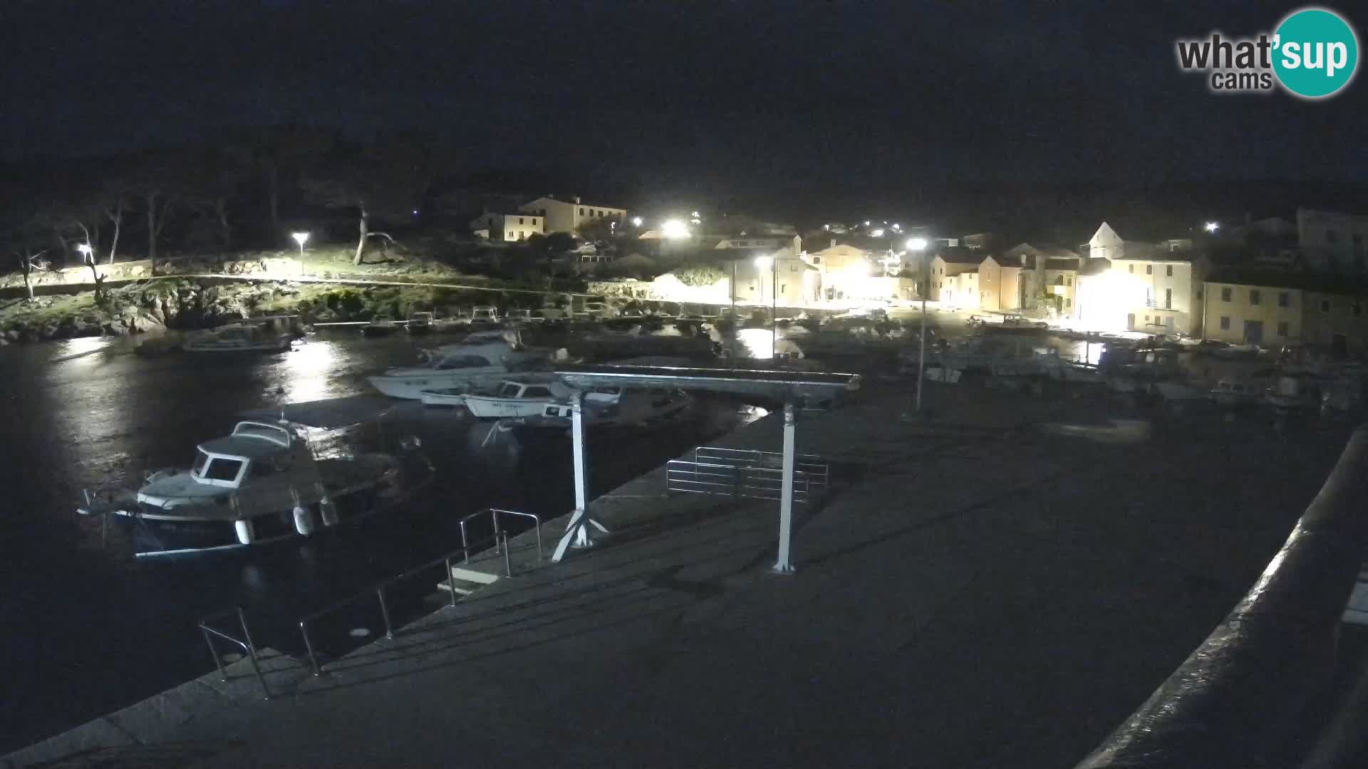 Camera en vivo Rovenska –  Veli Lošinj