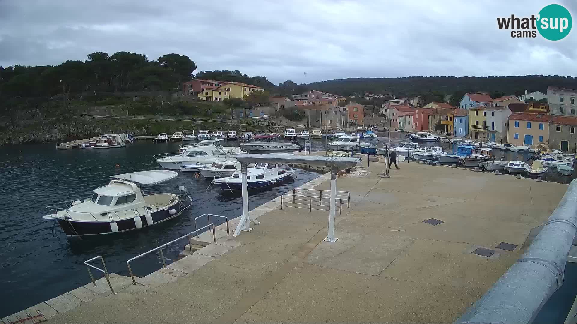 Livecam Rovenska –  Veli Lošinj