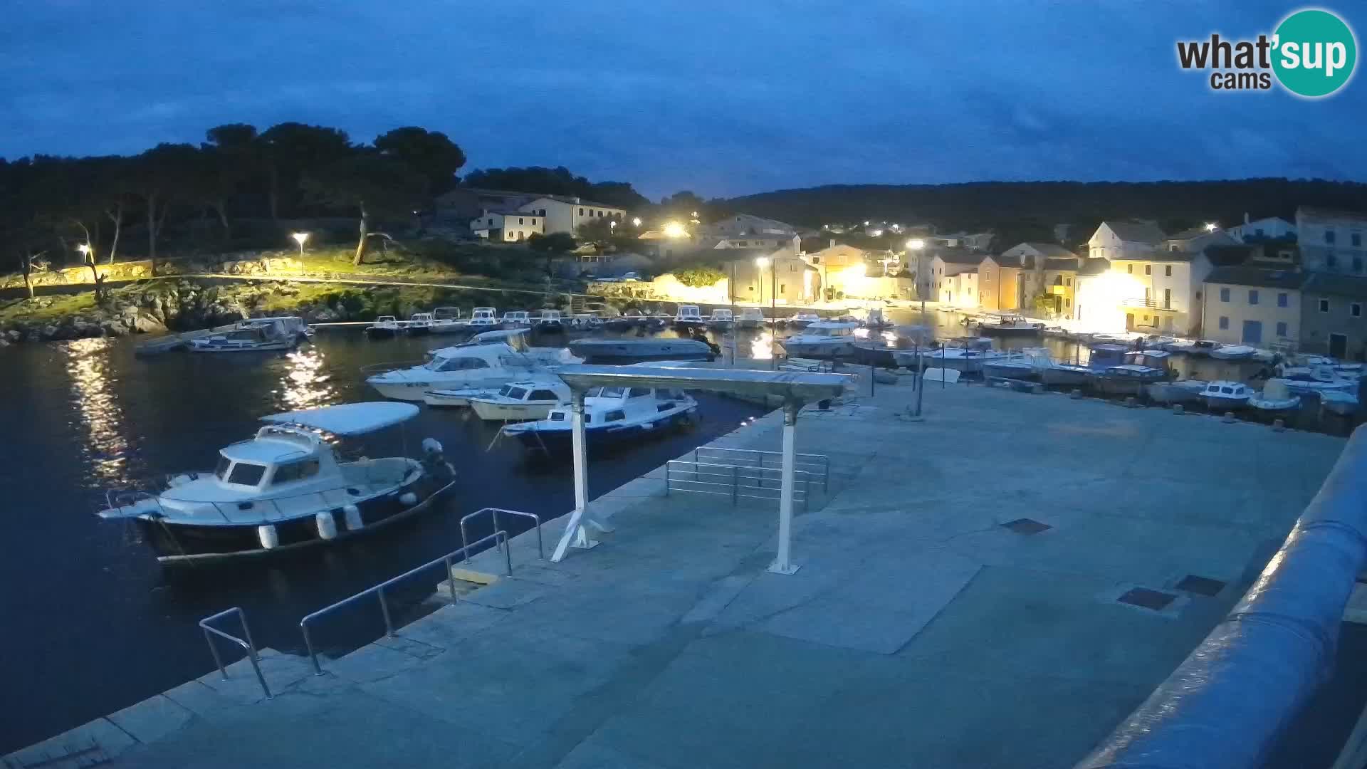 Camera en vivo Rovenska –  Veli Lošinj