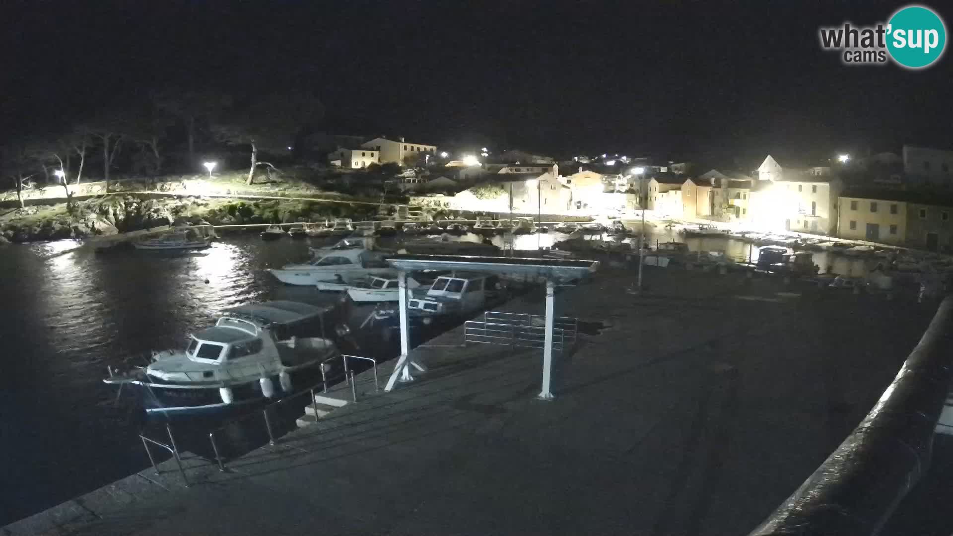 Camera en vivo Rovenska –  Veli Lošinj