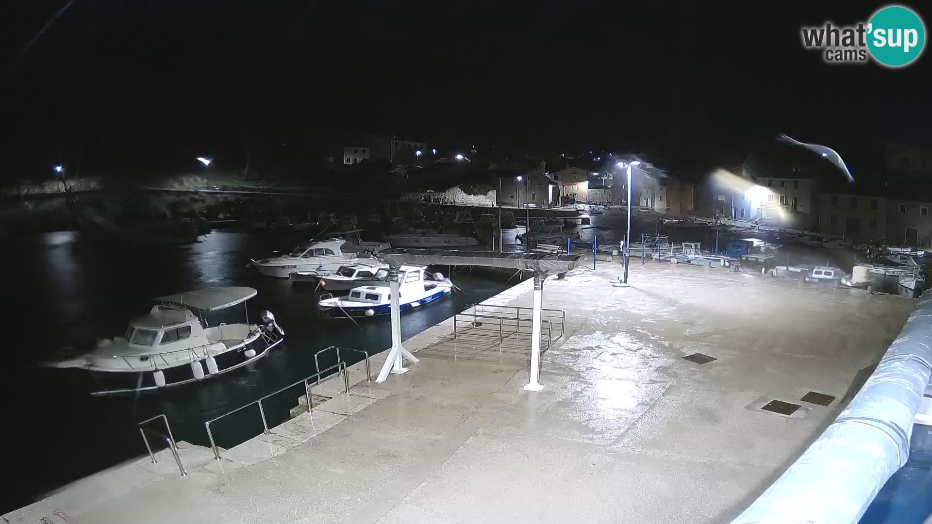 Webcam Rovenska –  Veli Lošinj