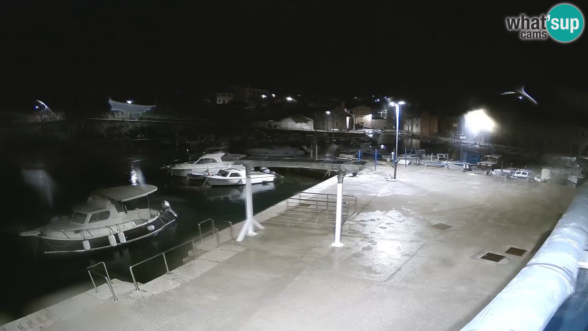 Livecam Rovenska –  Veli Lošinj