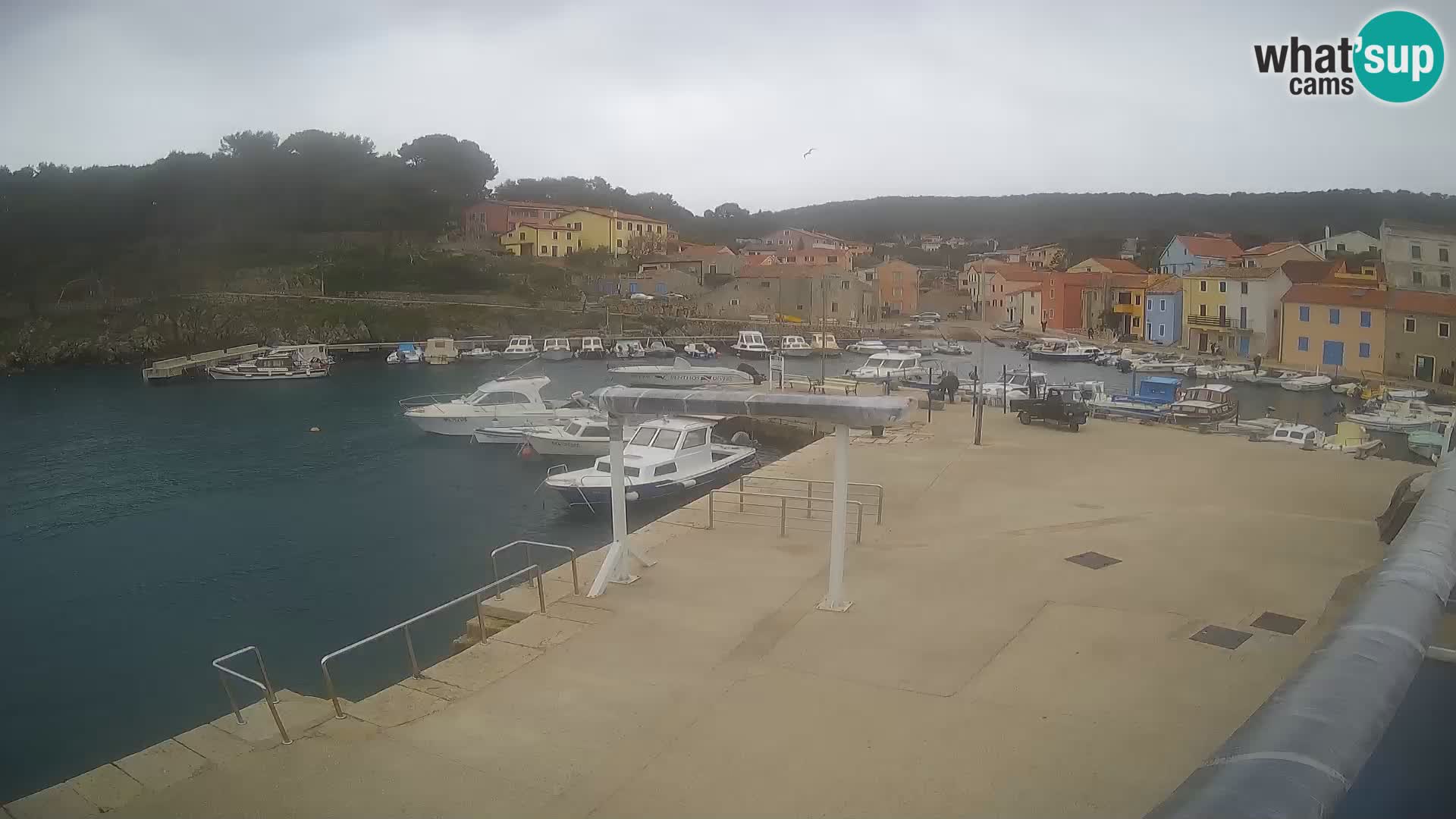 Spletna kamera Rovenska –  Veli Lošinj