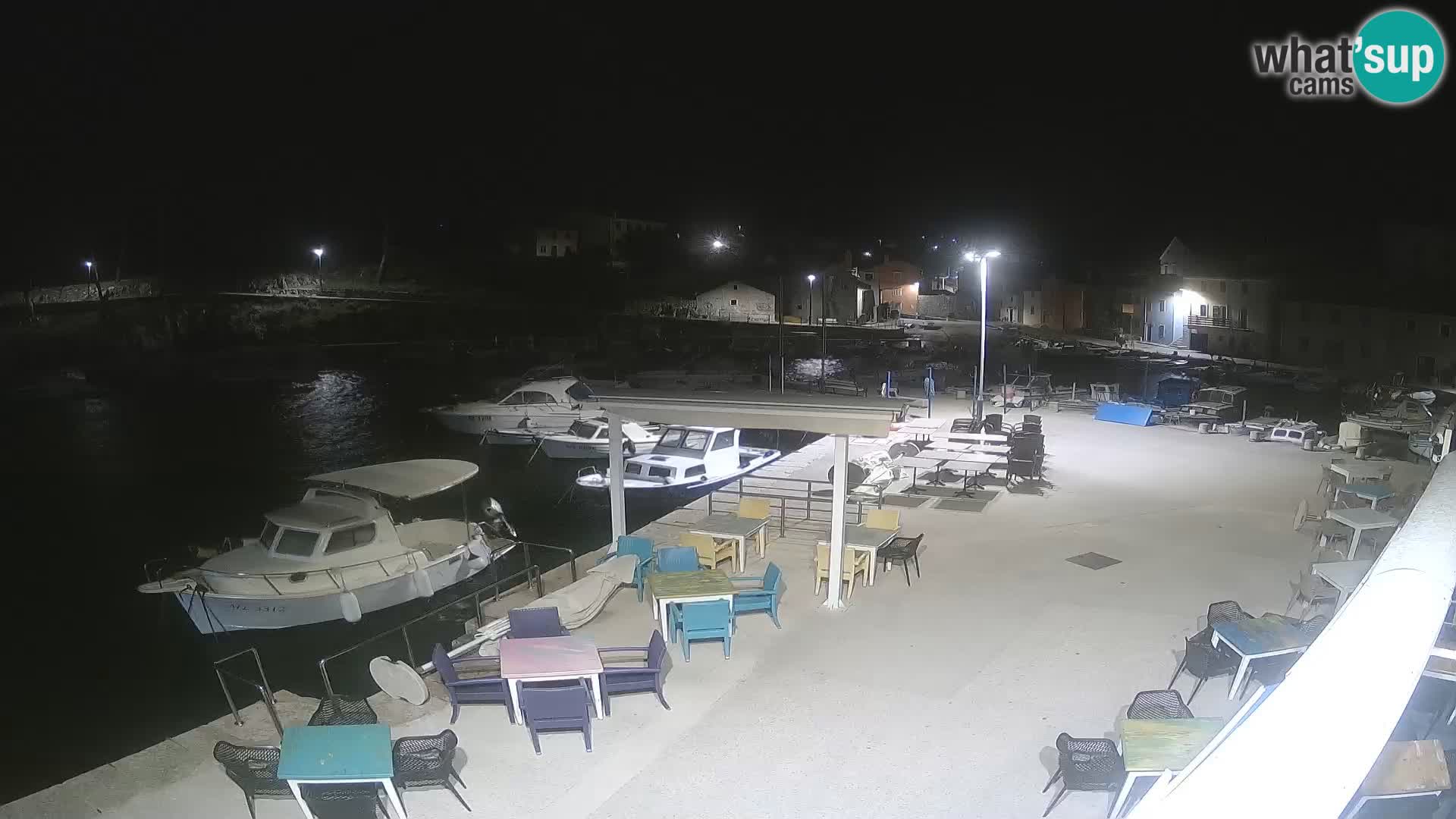 Camera en vivo Rovenska –  Veli Lošinj
