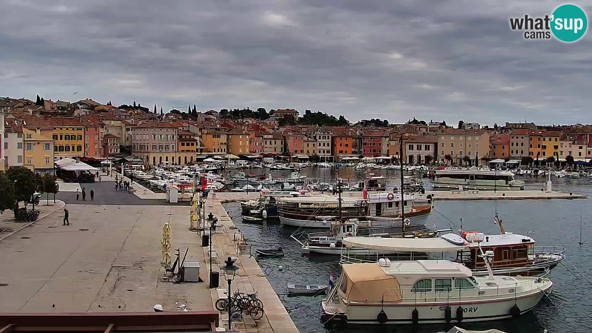 Seaside Promenade And Marina In Rovinj Webcam Whatsupcams