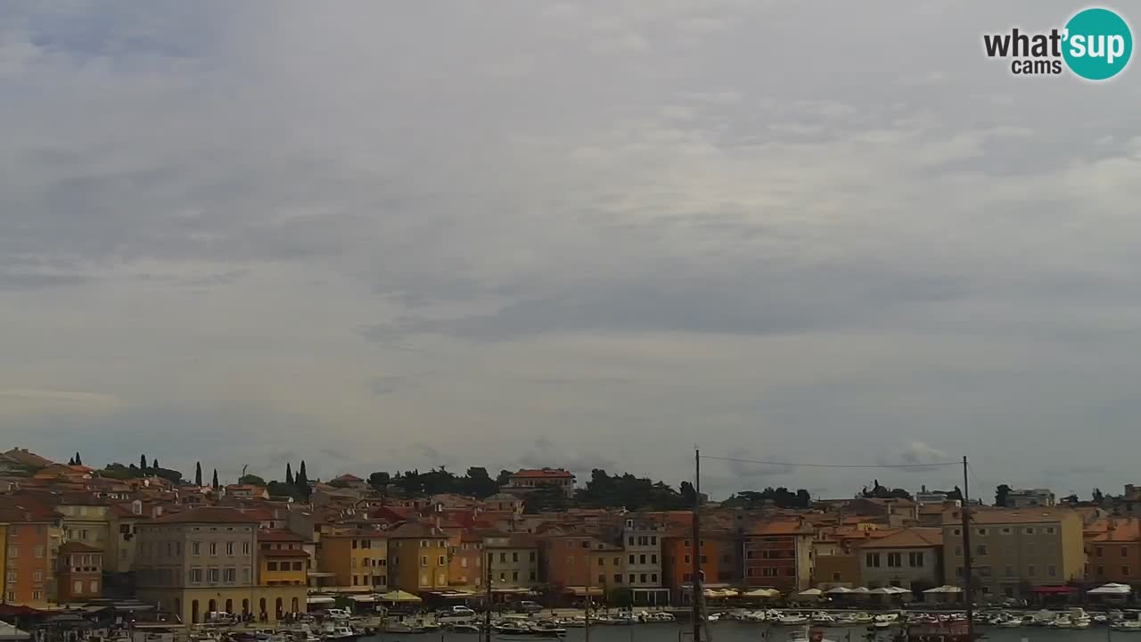 Seaside promenade and marina in Rovinj webcam