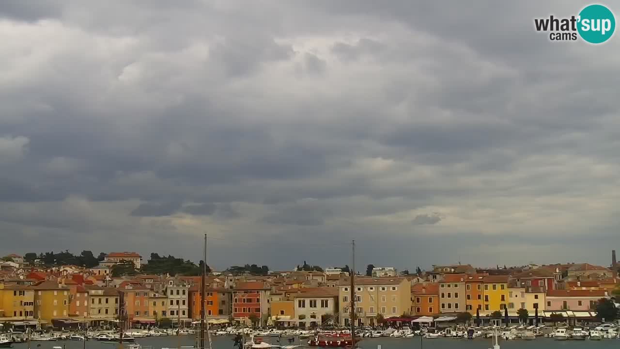 Promenade und marina in Rovinj webcam