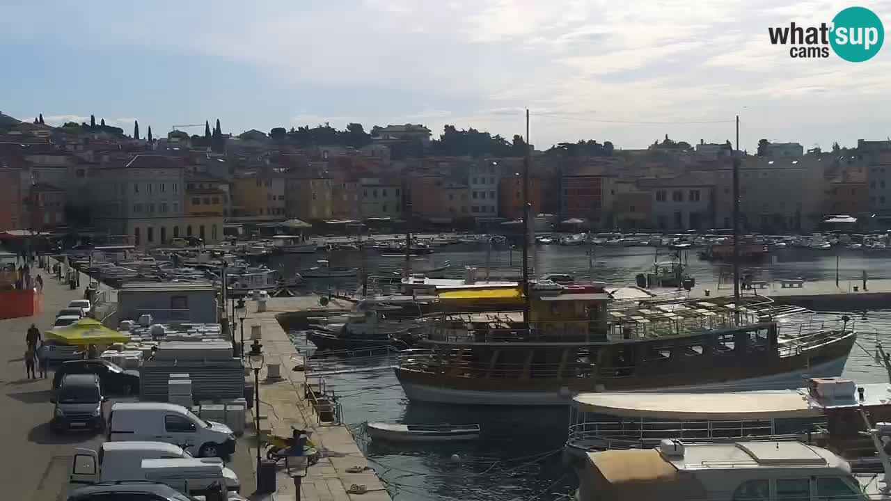 Seaside promenade and marina in Rovinj webcam – Istria – Croatia