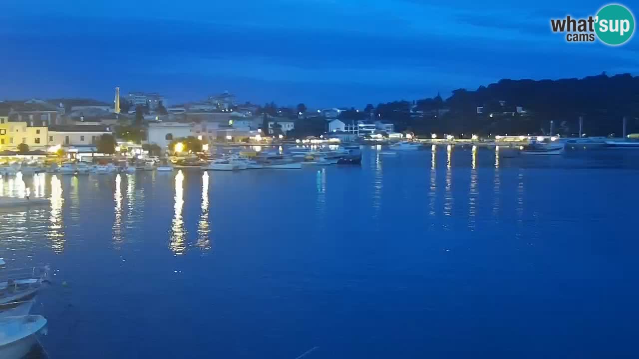 Lungomare e marina a Rovigno – Webcam motorizzata