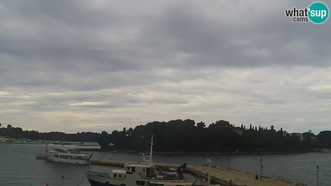 Seaside promenade and marina in Rovinj webcam – Istria – Croatia