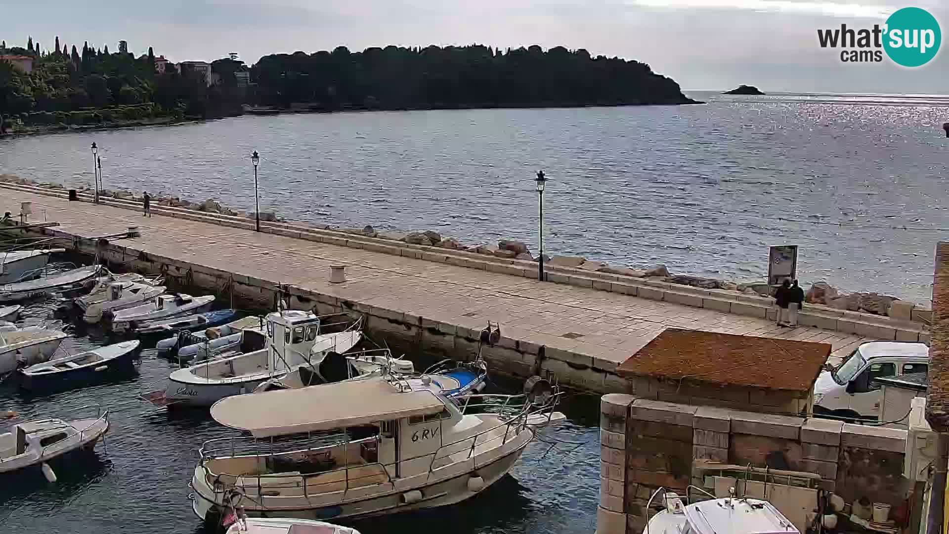 Promenade e marina en Rovinj