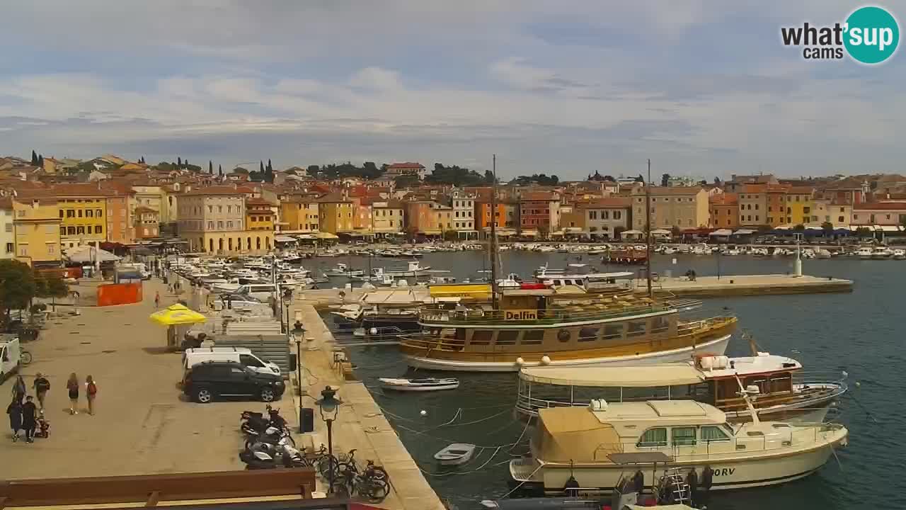 Promenade und marina in Rovinj webcam – Istrien – Kroatien
