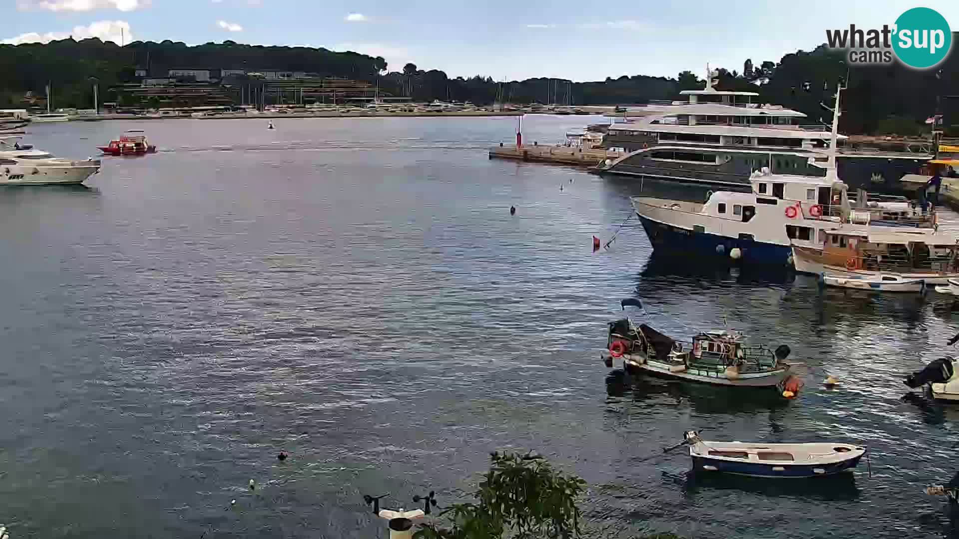 Webcam Rovinj Promenade – Istrien – Kroatien