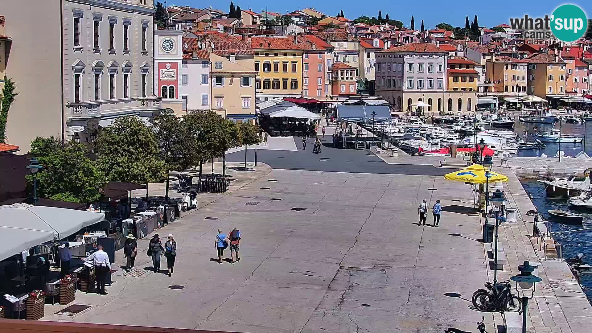 Webcam Rovigno marina | Lungomare | Rovinj Croazia