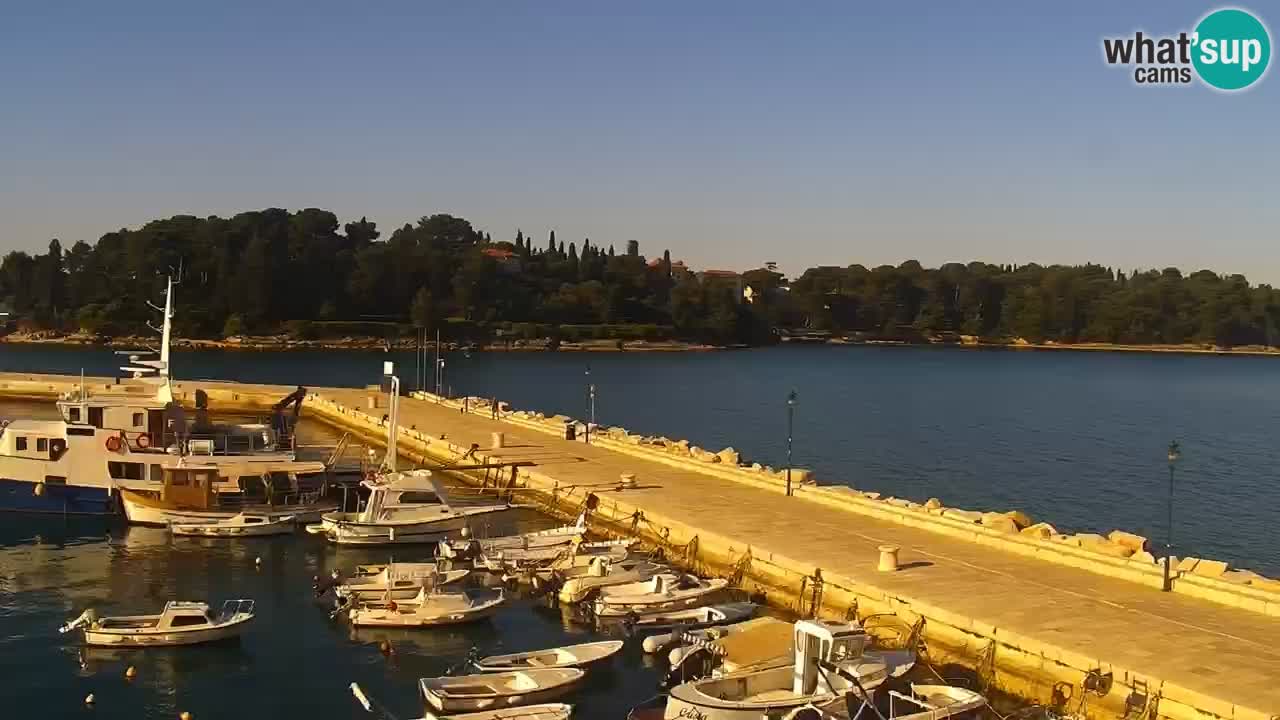 Webcam Rovigno marina | Lungomare | Rovinj Croazia