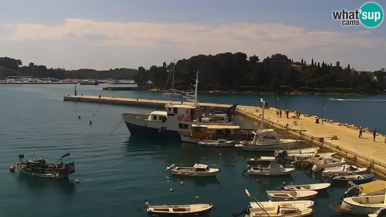 Webcam Rovinj Promenade – Istrien – Kroatien