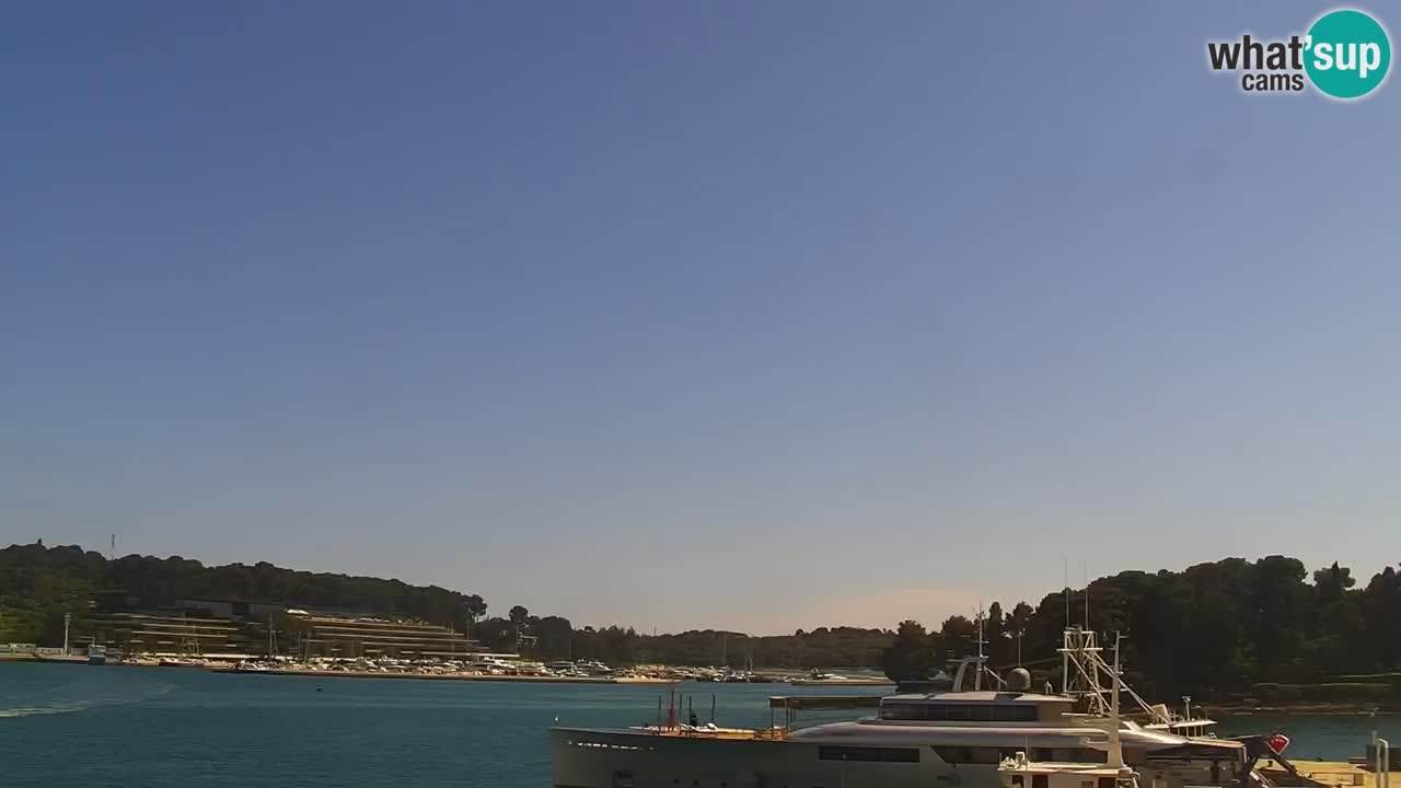 Rovinj webcam promenade and marina – Istria – Croatia