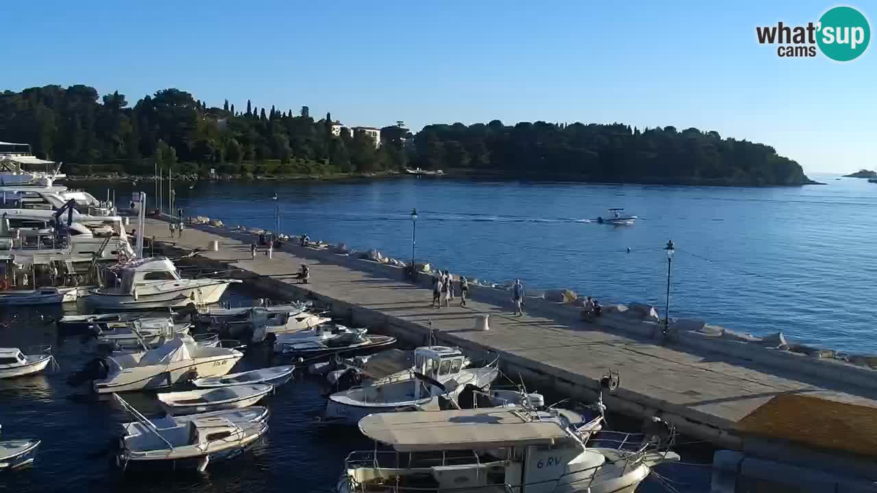 Lungomare e marina a Rovigno – Webcam motorizzata