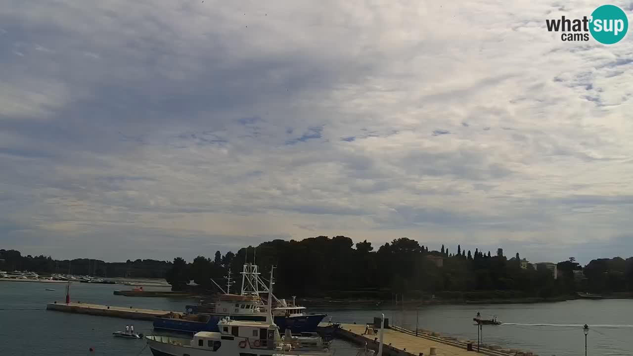 Promenade und marina in Rovinj webcam – Istrien – Kroatien