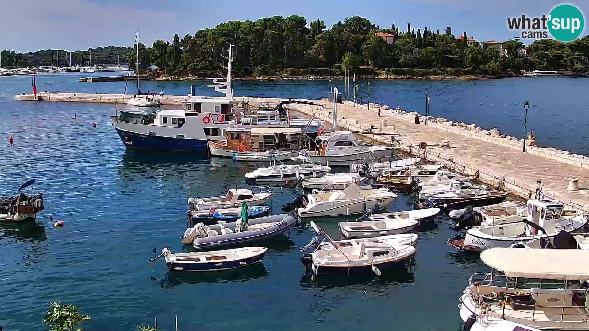 Seaside promenade and marina in Rovinj webcam – Istria – Croatia