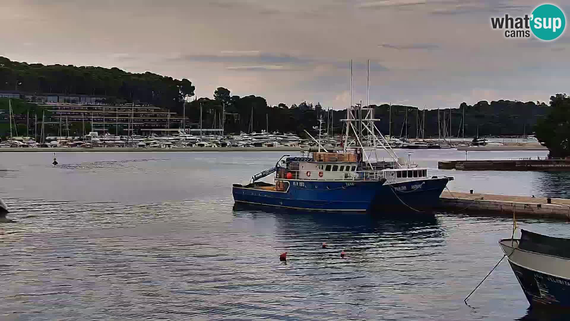 Promenada i marina u Rovinju