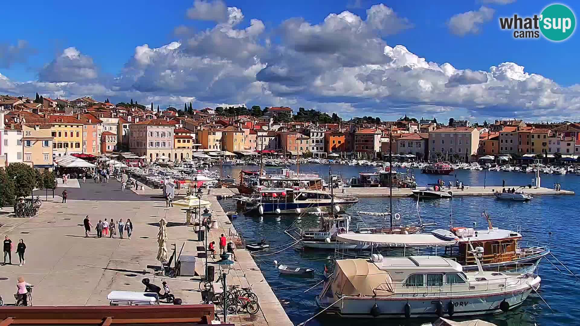 Promenada i marina u Rovinju