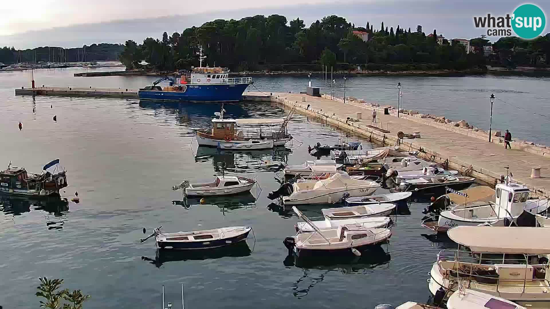 Rovinj webcam promenade and marina – Istria – Croatia