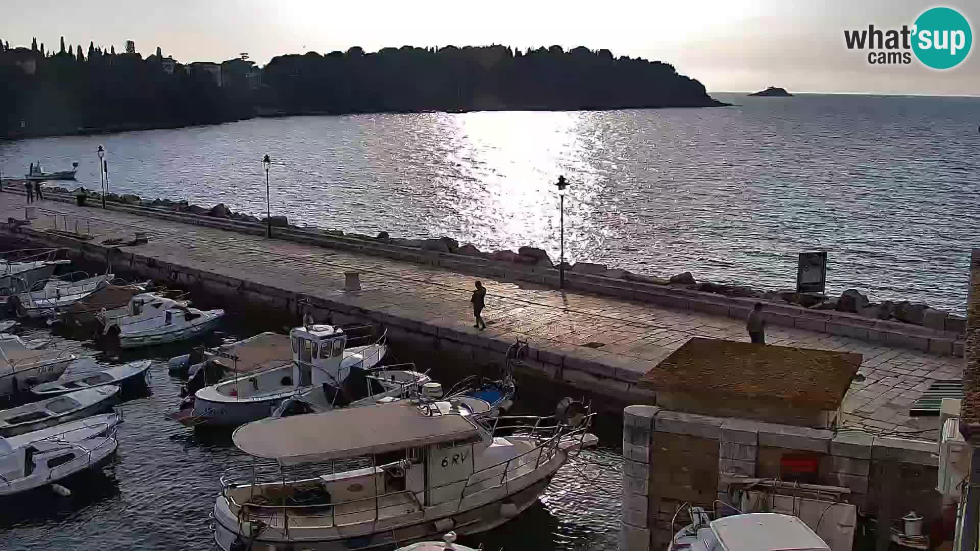 Spletna kamera Rovinj promenada in marina | Rovinj Vreme