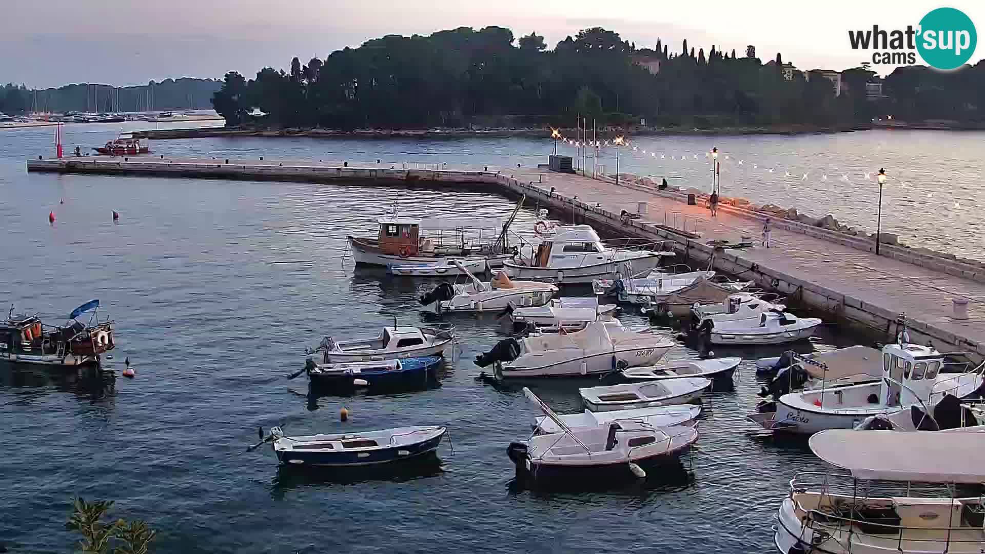 Promenade e marina en Rovinj