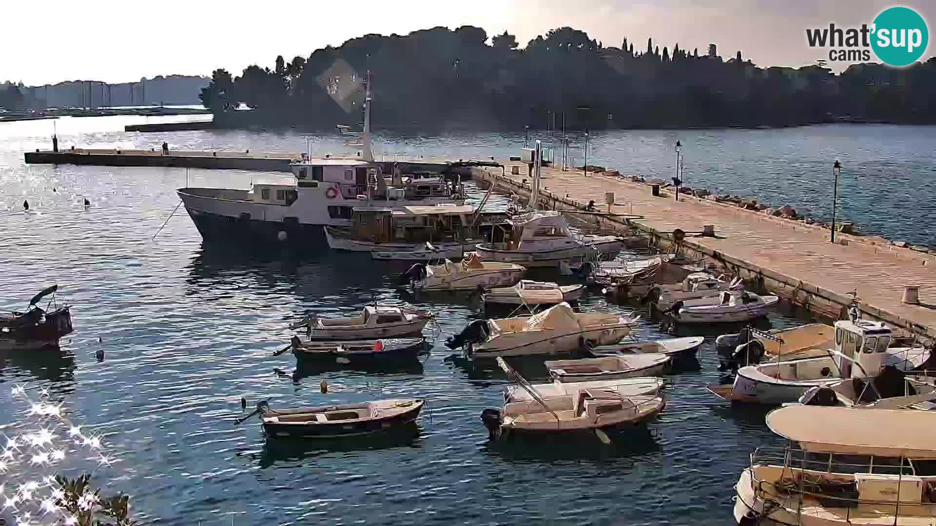 Promenade e marina en Rovinj