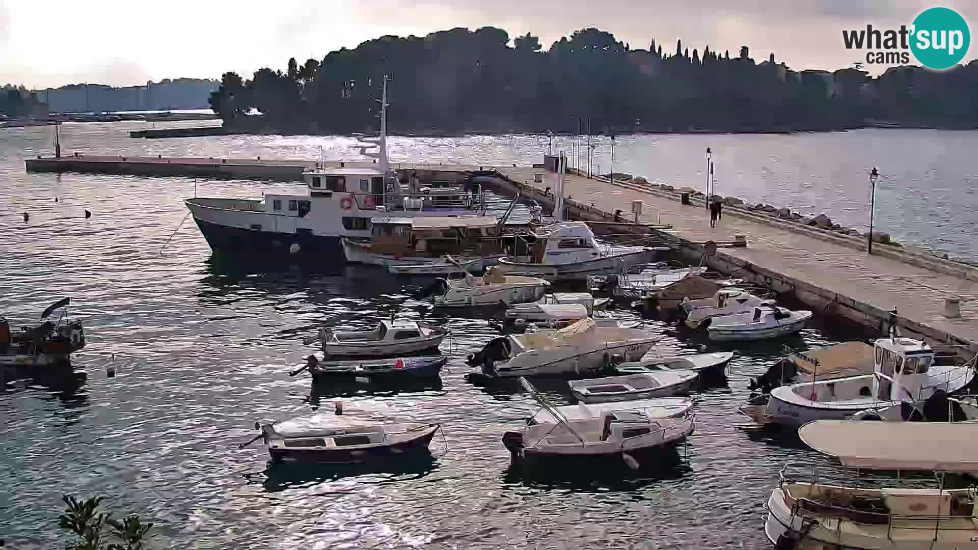 Webcam Rovigno marina | Lungomare | Rovinj Croazia