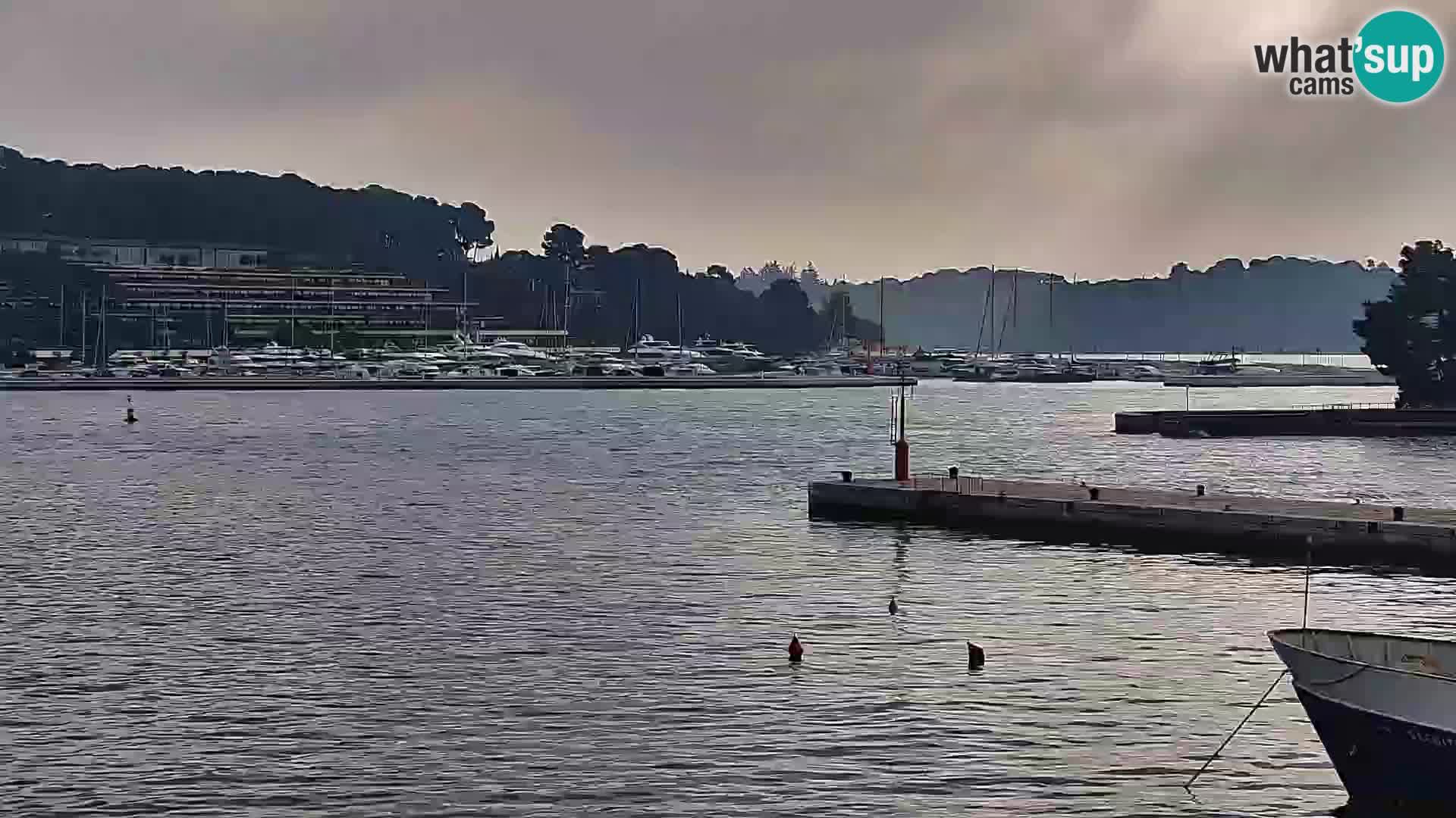 Promenade e marina en Rovinj