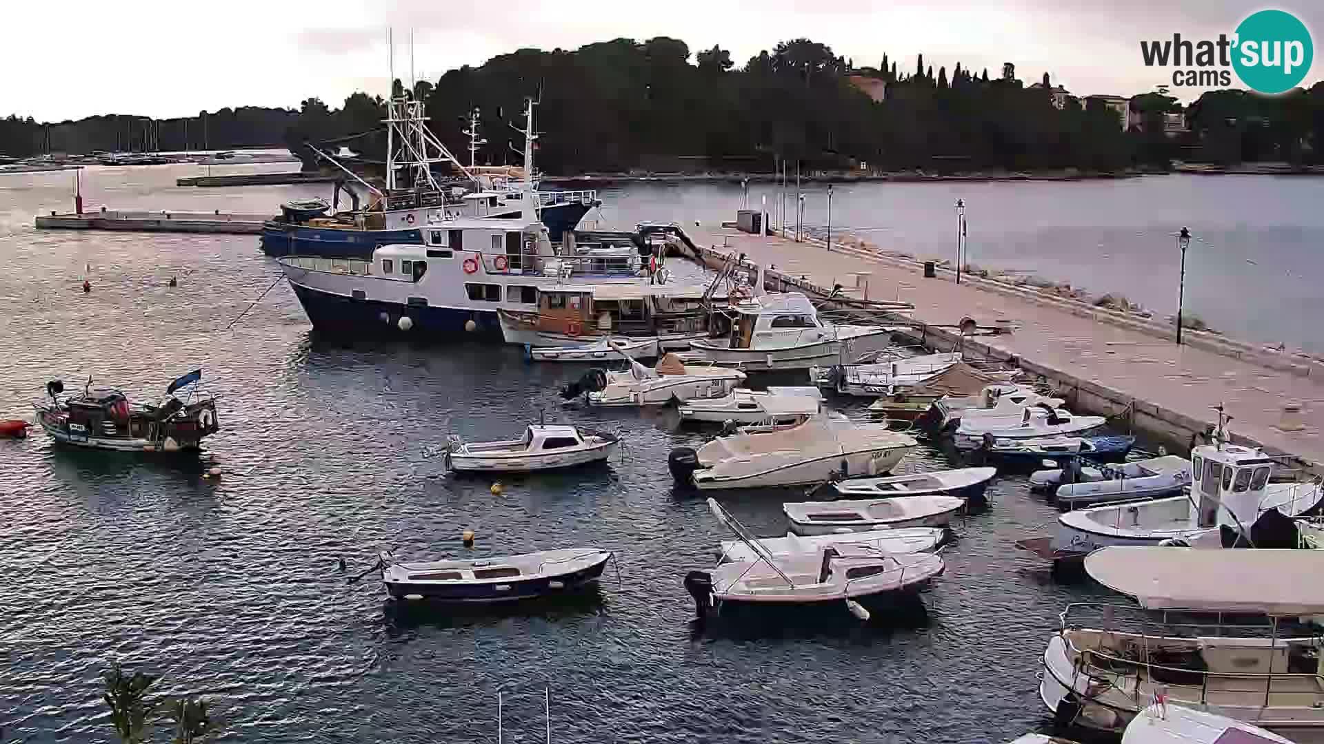 Lungomare e marina a Rovigno – Webcam motorizzata