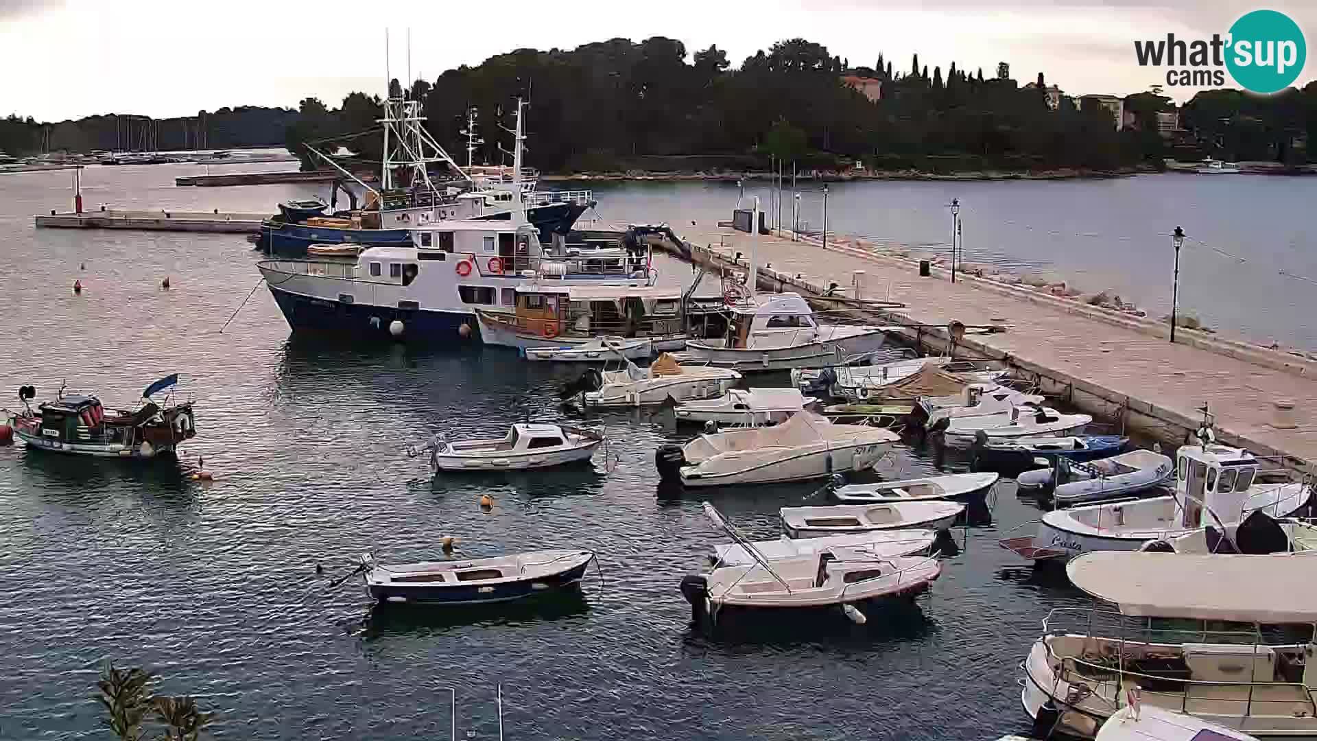 Promenade e marina en Rovinj