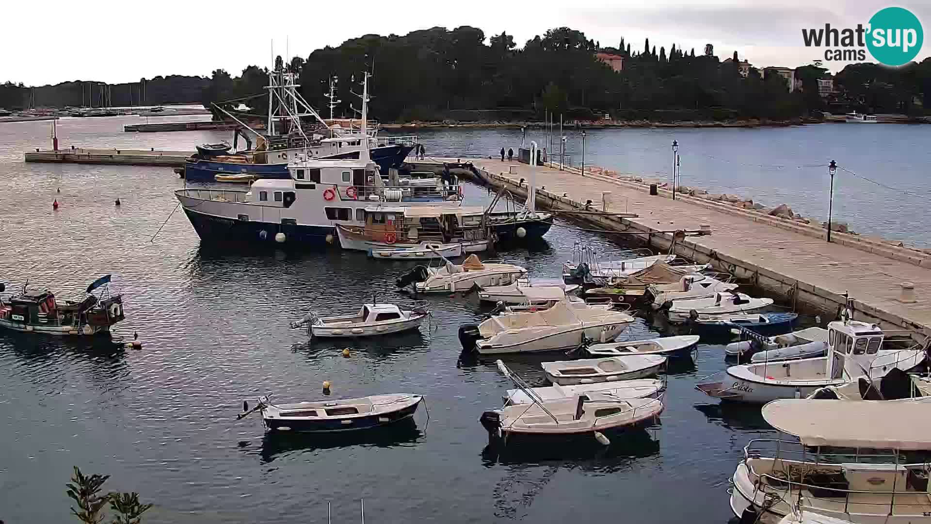 Lungomare e marina a Rovigno – Webcam motorizzata