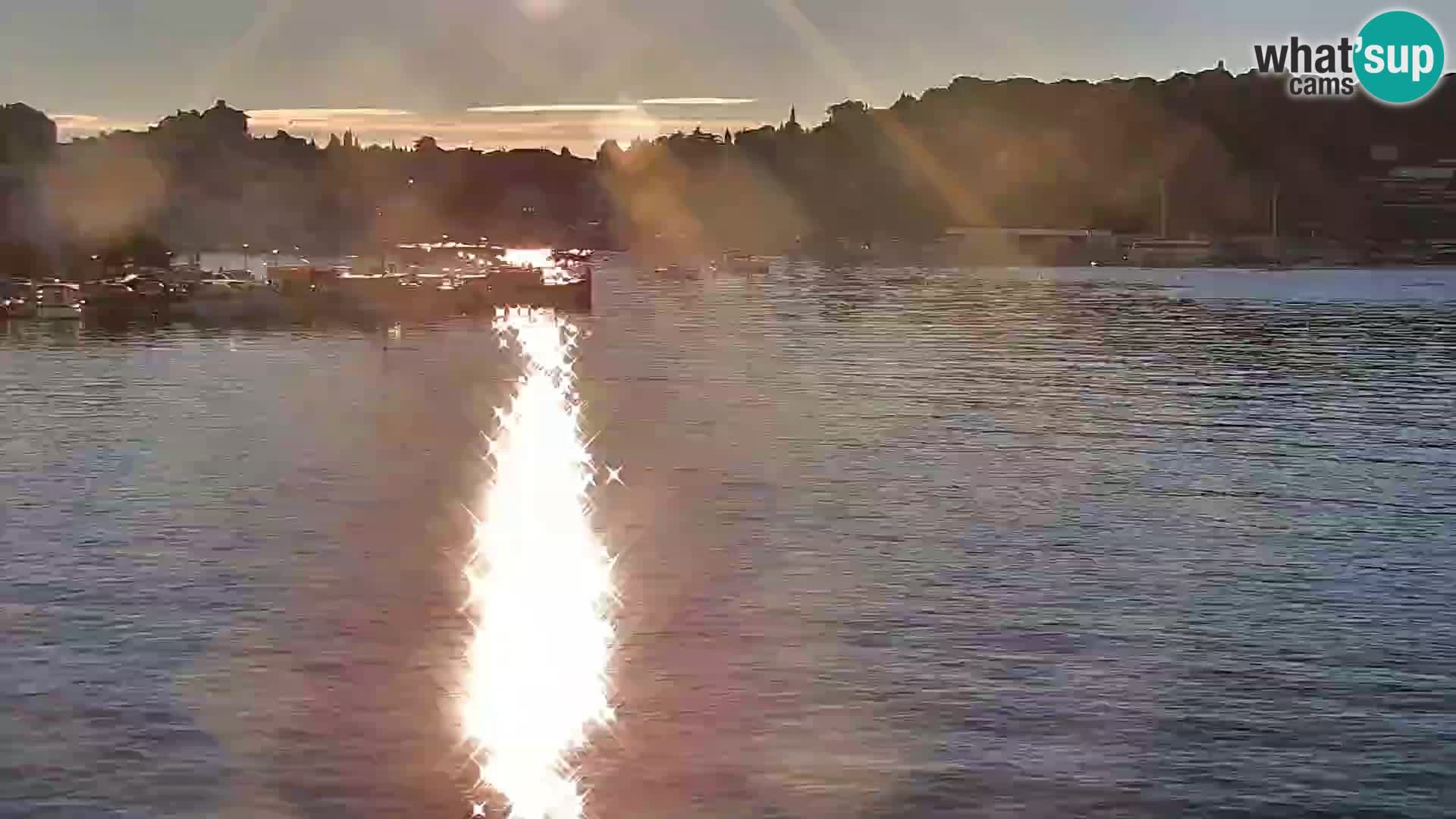 Promenada i marina u Rovinju