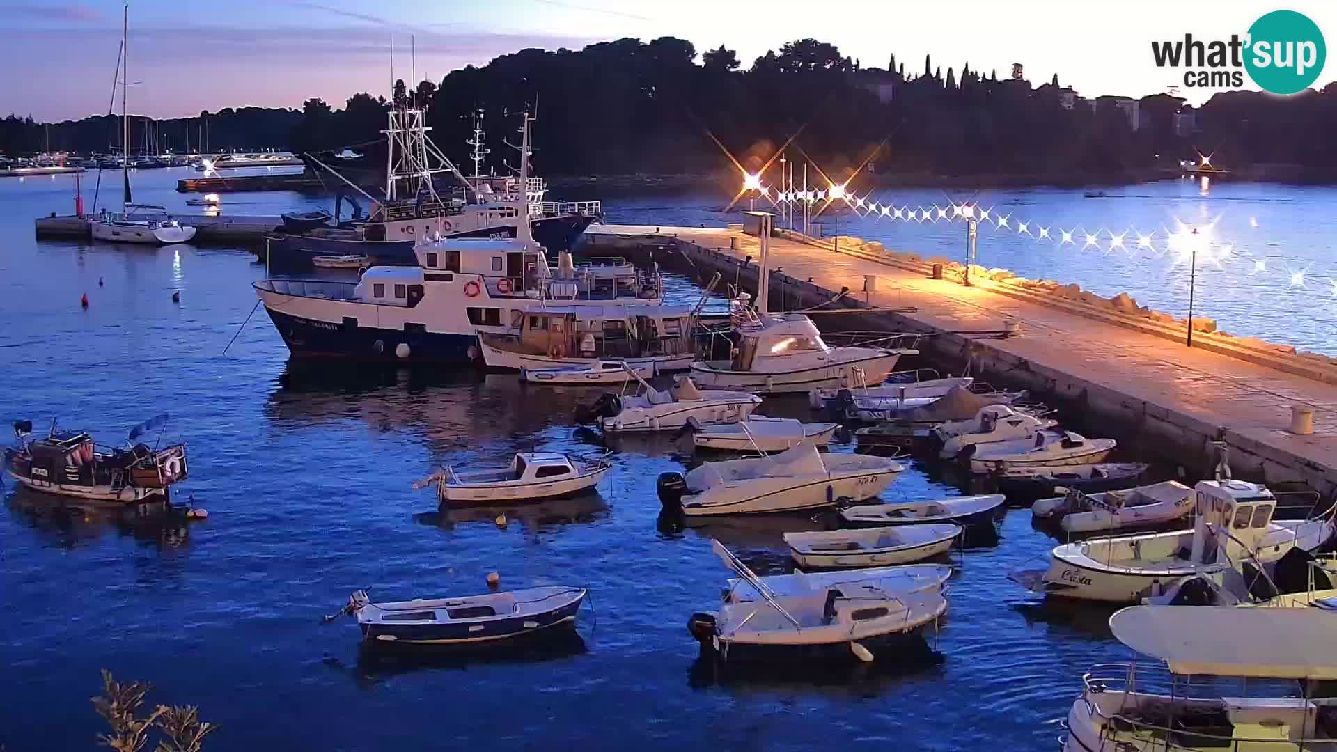 Webcam Rovigno marina | Lungomare | Rovinj Croazia