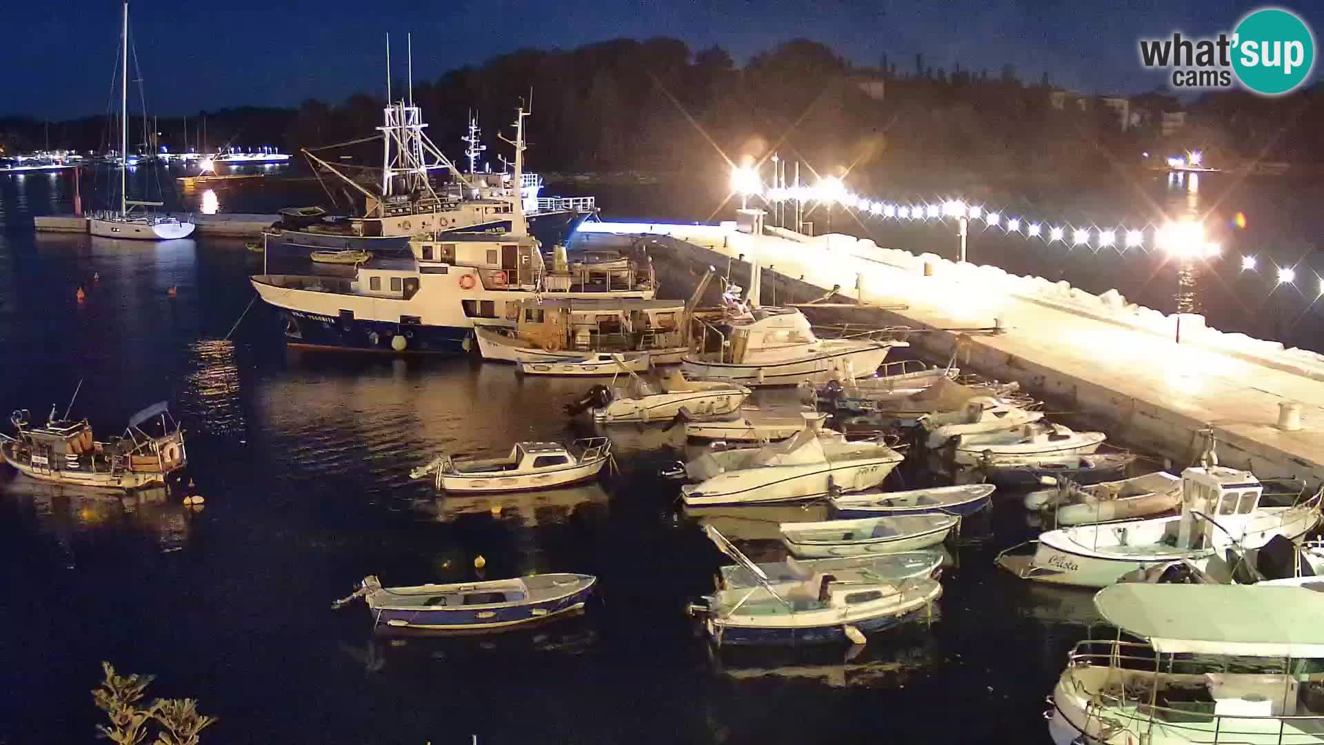 Promenade e marina en Rovinj