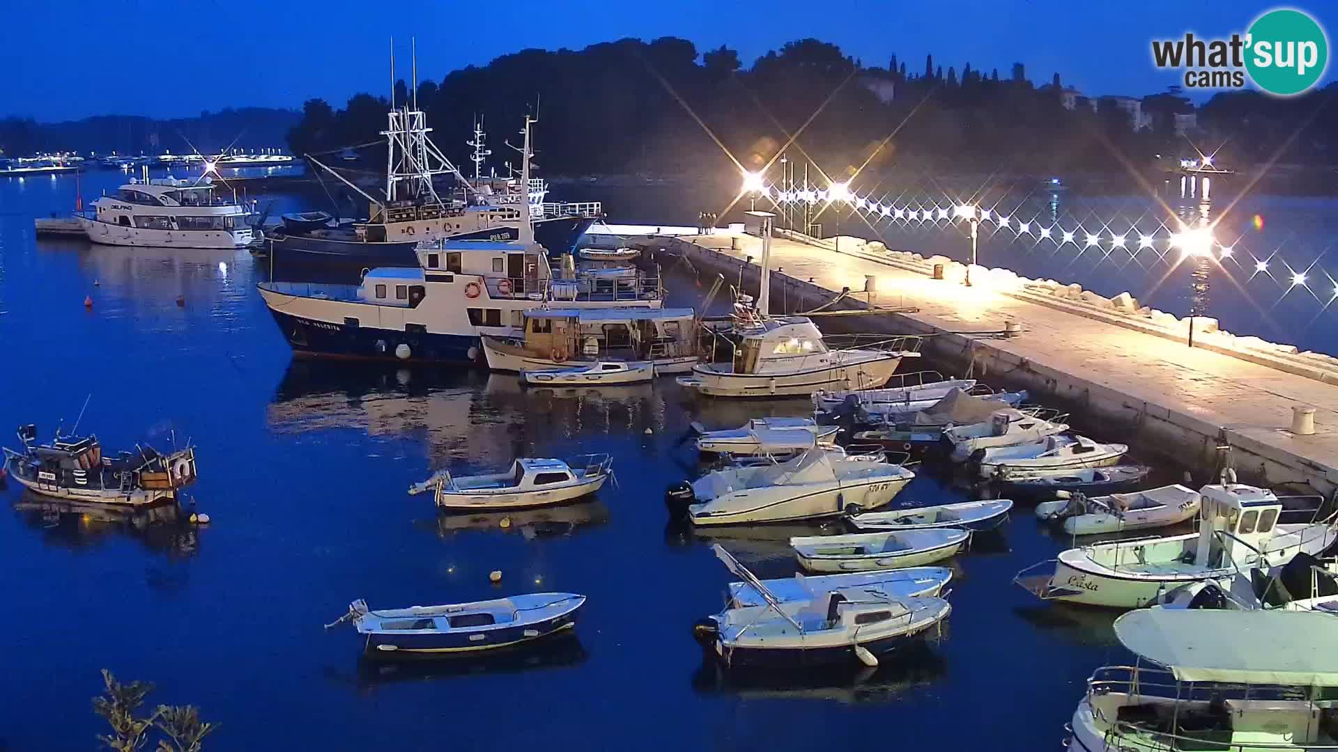 Spletna kamera Rovinj promenada in marina | Rovinj Vreme