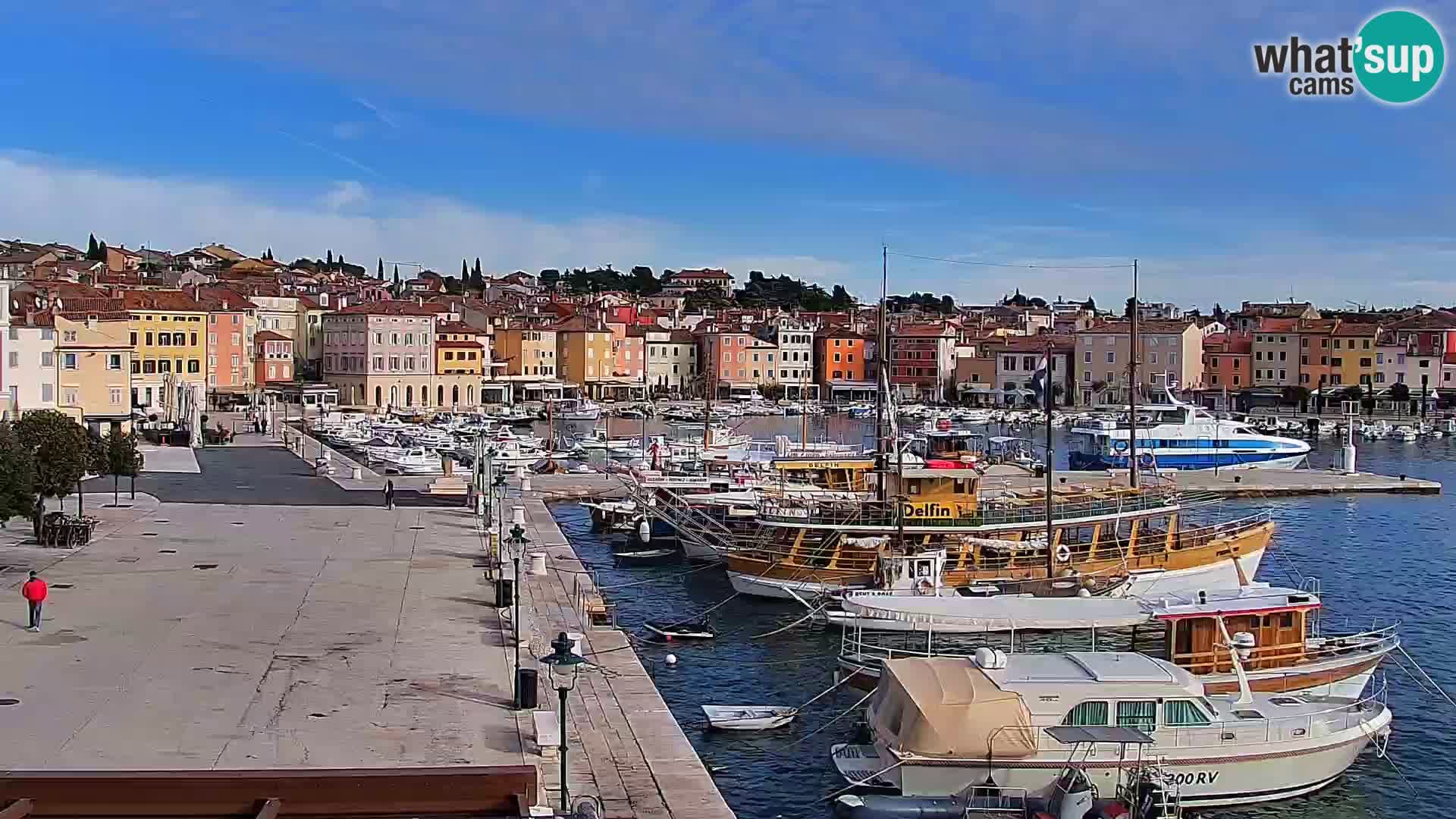 Promenada i marina u Rovinju