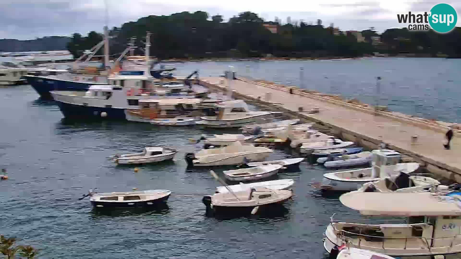 Promenade e marina en Rovinj