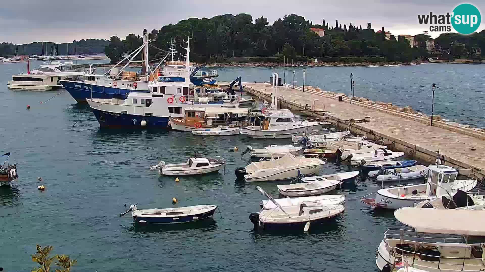 Promenade e marina en Rovinj